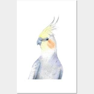 watercolor cockatiel painting portrait parrot Posters and Art